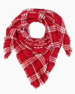 Charming Charlies plaid scarf