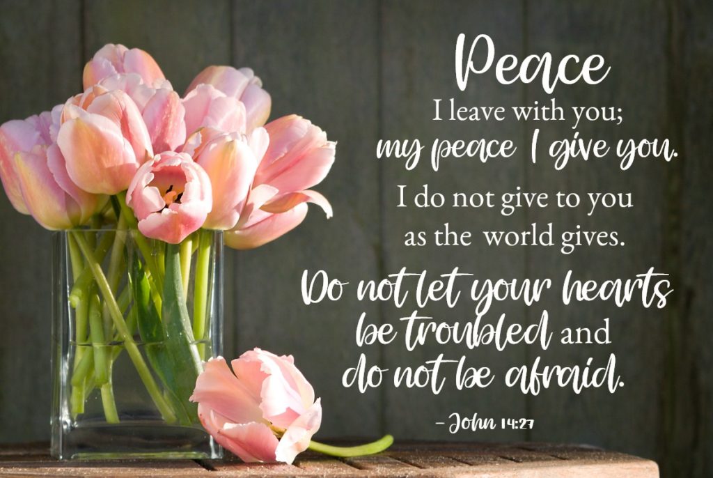 Bible Verses for Strength: John 14:26-27 But the Comforter, the Holy Spirit, whom the Father will send in my name, will teach you all things and will remind you of everything I have said to you. Peace I leave with you; my peace I give you. I do not give to you as the world gives. Do not let your hearts be troubled and do not be afraid.